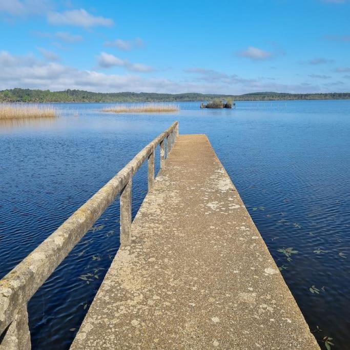 Aureilhan-Appartemant 4-6 Pp Piscine Cosy En Bord Lac Екстер'єр фото
